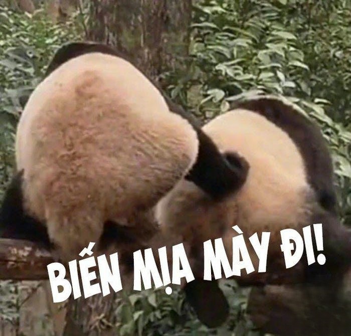 biến mẹ mày đi