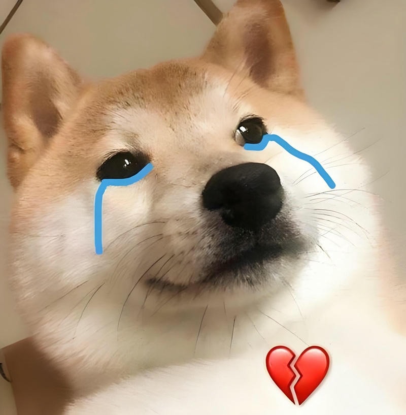 chó siba rất đau