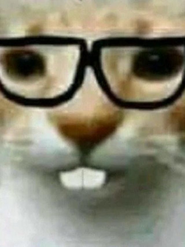 hình anh meme đeo kính