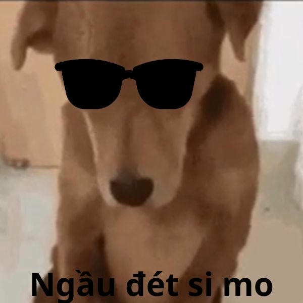 dog meme đeo kính