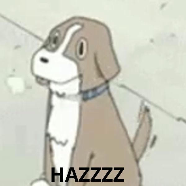 dog meme haz