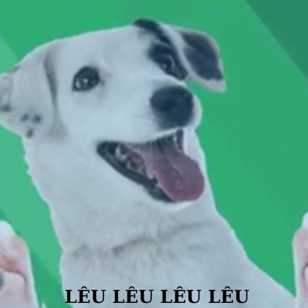 dog meme lêu lêu