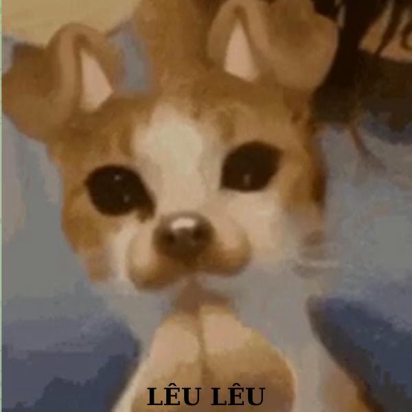 dog meme lêu