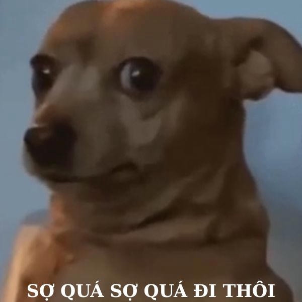 dog meme sợ quá sợ quá