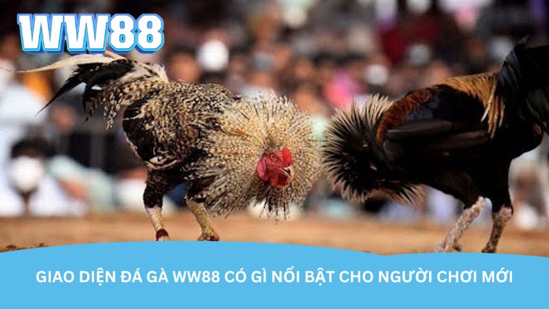 giao-dien-da-ga-ww88-co-gi-noi-bat-cho-nguoi-choi-moi