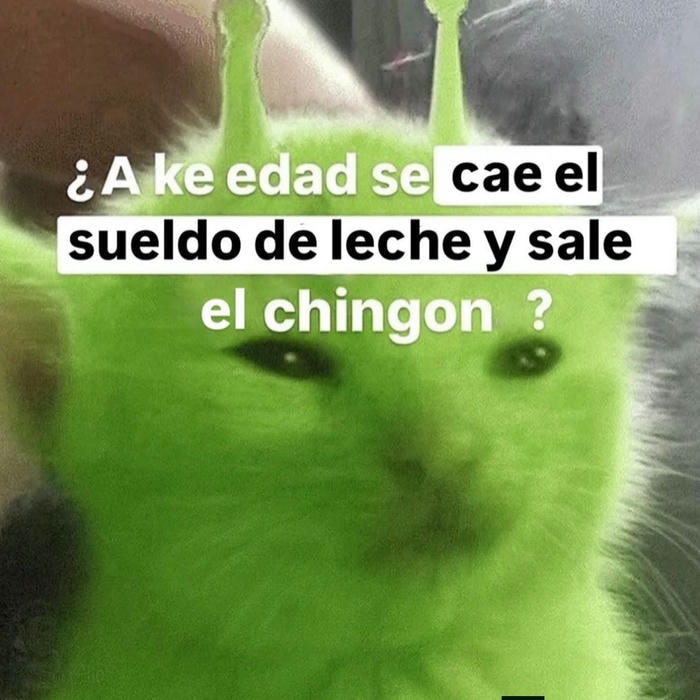 hình anh meme crypto