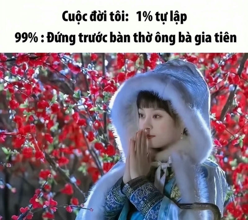hình anh meme cung đấu