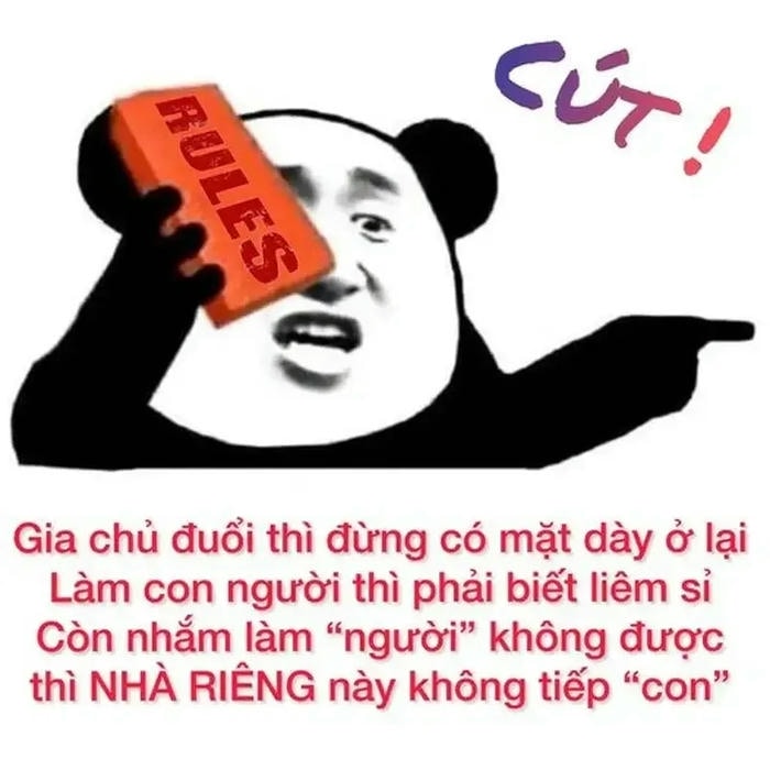 hình anh meme cút