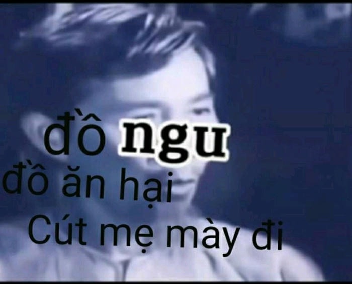 hình ảnh meme cút