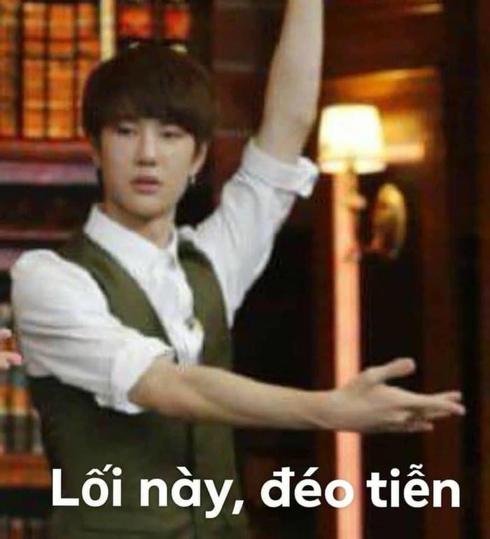 hinh ảnh meme cút