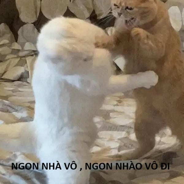 hình ảnh meme đánh nhau chế