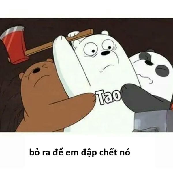 hình ảnh meme đánh nhau hài