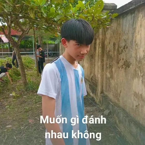hình ảnh meme đánh nhau