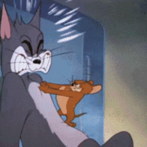 hình meme đánh nhau chế