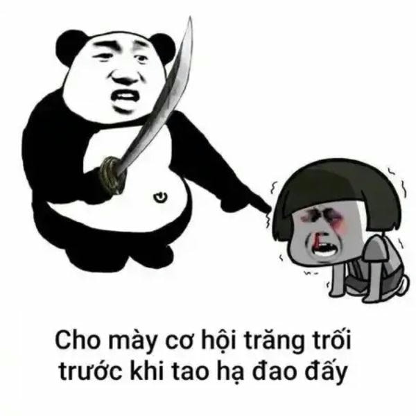 hình meme đánh nhau hài