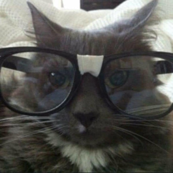 hình meme đeo kính