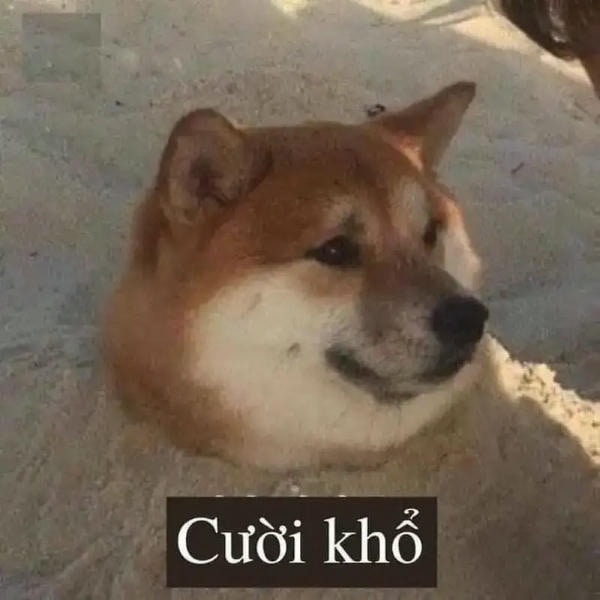 meme chó đau khổ