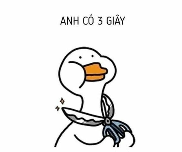 meme con vịt cầm dao