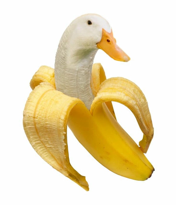 meme con vịt chuối