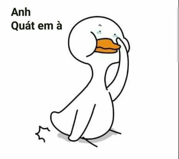 meme con vịt quát em