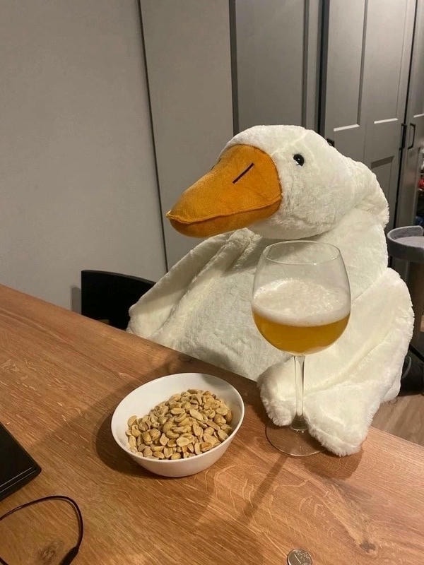 meme con vịt trắng