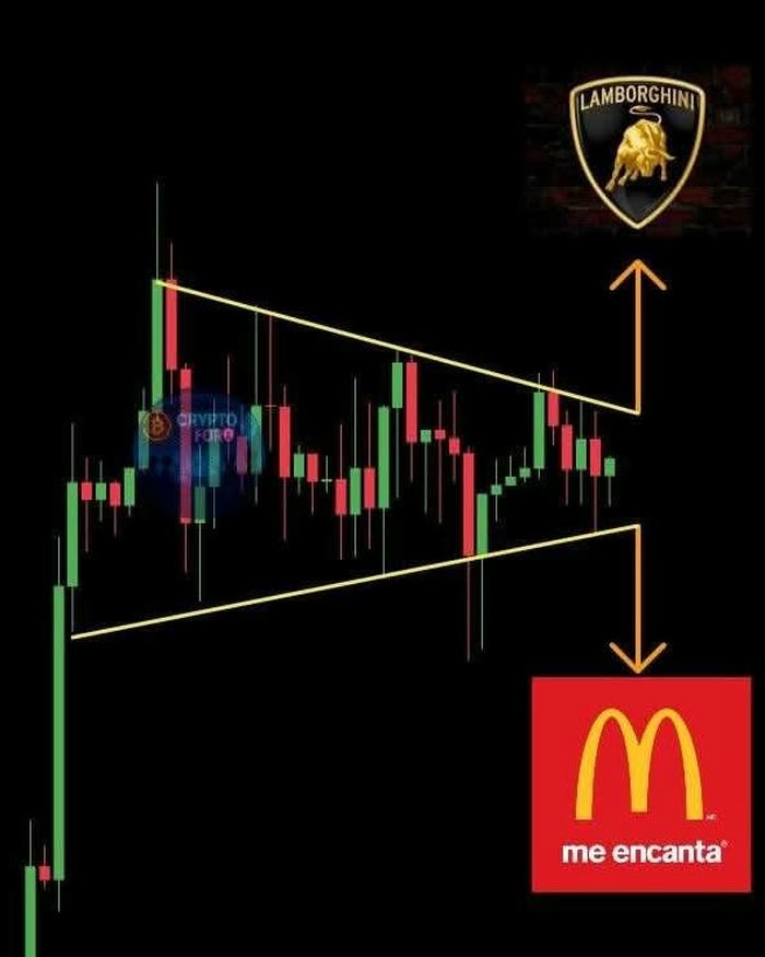 meme crypto to the moon