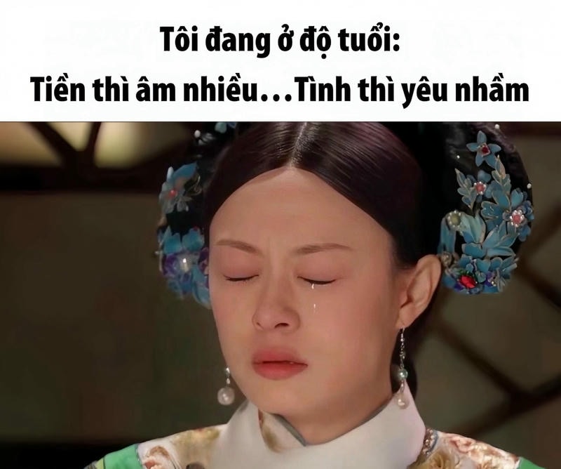 meme cung đấu giá