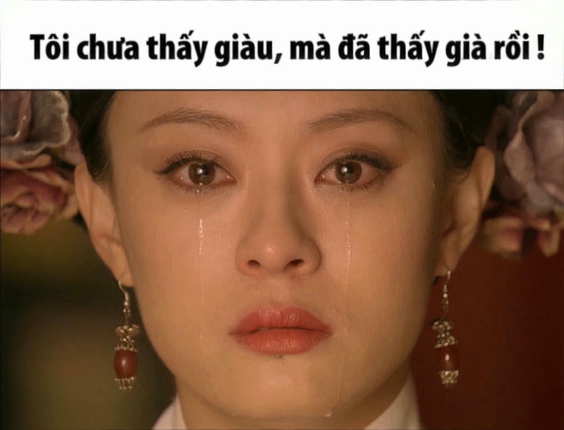 meme cung đấu troll team