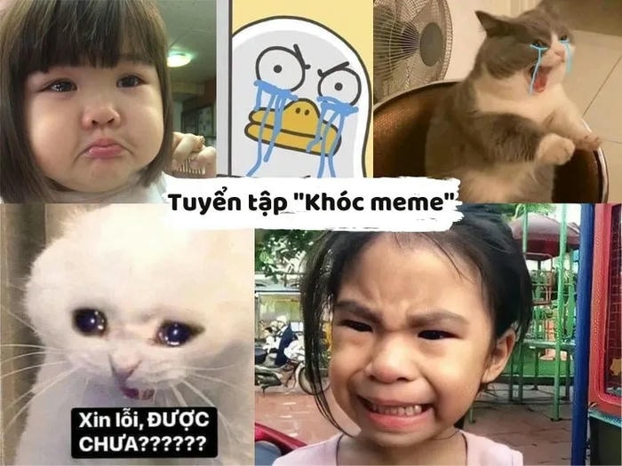 meme cười khóc hài