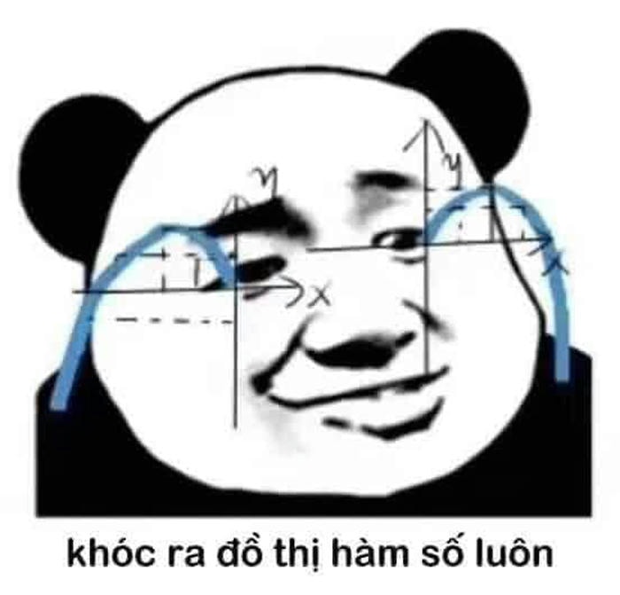 meme cười khóc ra đồ thị hàm số