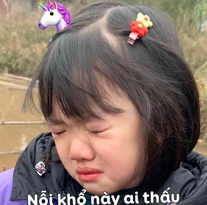 meme cười khóc thấy khổ