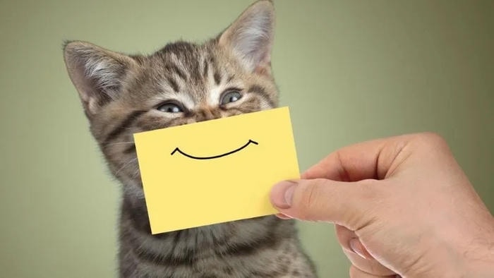 meme cười nhưng khóc trong lòng