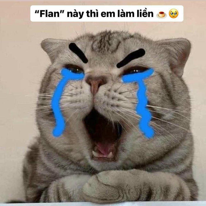 meme cười và khóc