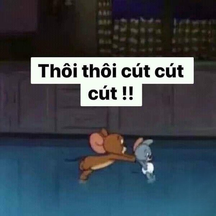 meme cút xéo