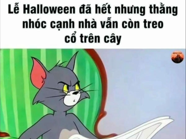 meme dark mèo tom