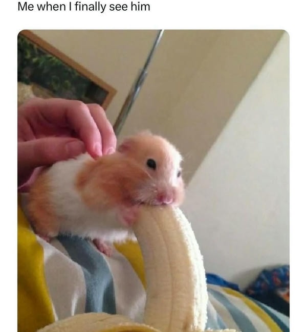 meme dark ngập mồm