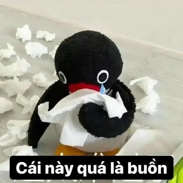 meme đau khổ