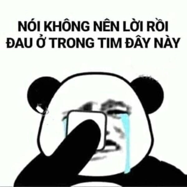 meme đau tim gấu trúc trung quốc