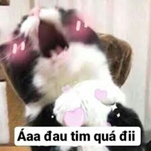 meme đau tim quá đi mất thôi