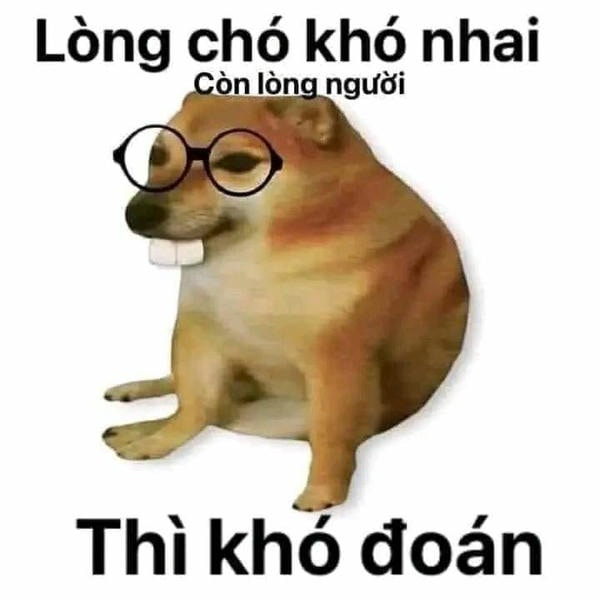 meme đeo kính chông khó đoán