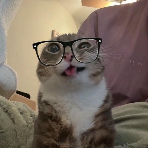 meme đeo kính ngầu