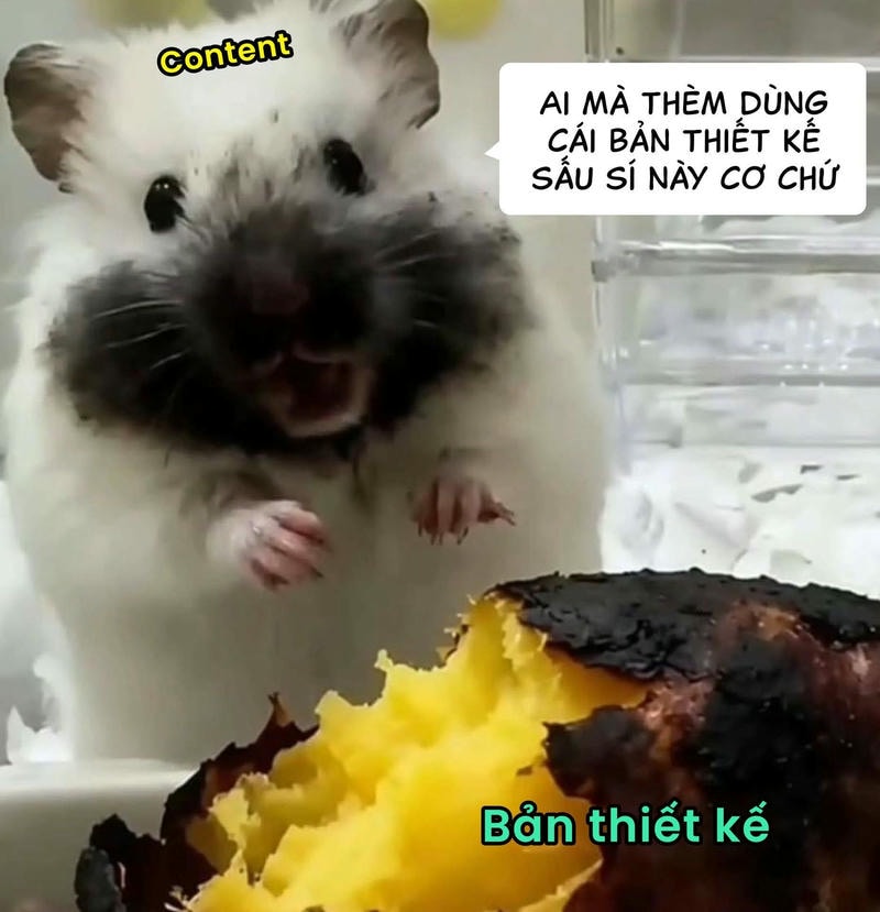 meme designer developer