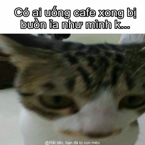 meme discord soundboard server