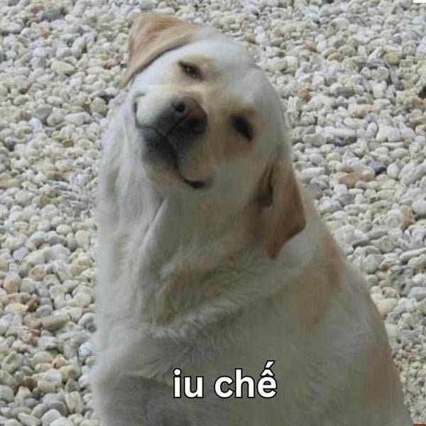 meme dog dễ thương
