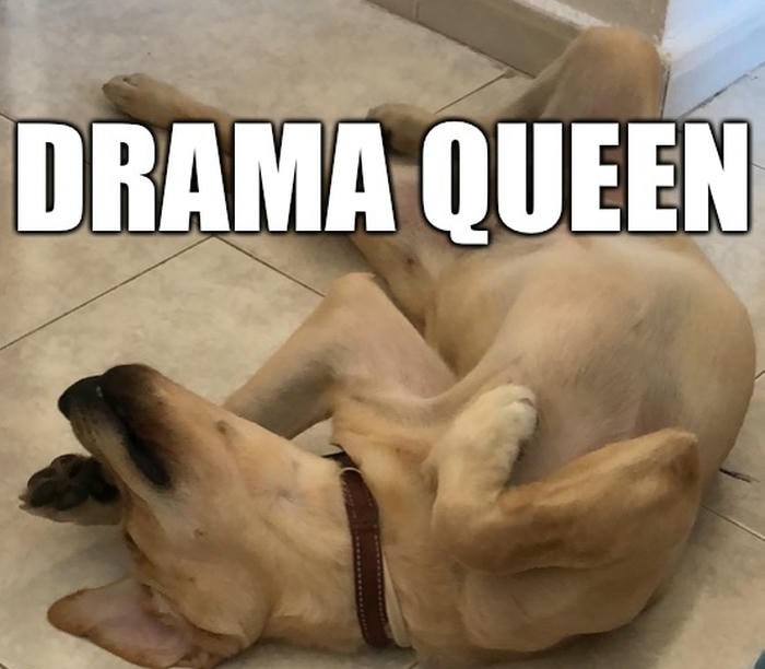 meme drama lật mặt