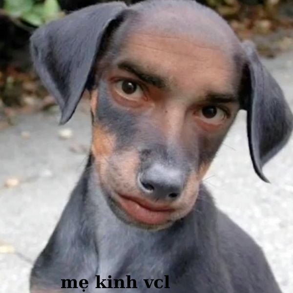 meme khinh bỉ cười đểu