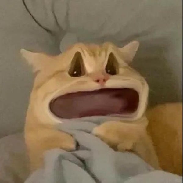 meme mèo cười chế