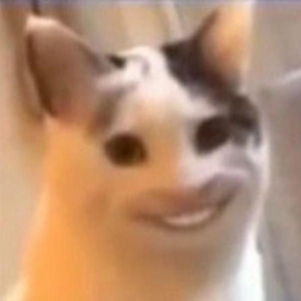 meme mèo cười hài