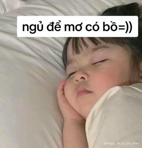 meme ngủ ngon đáng yêuu