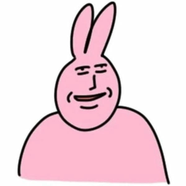 meme thỏ hồng cười đểu